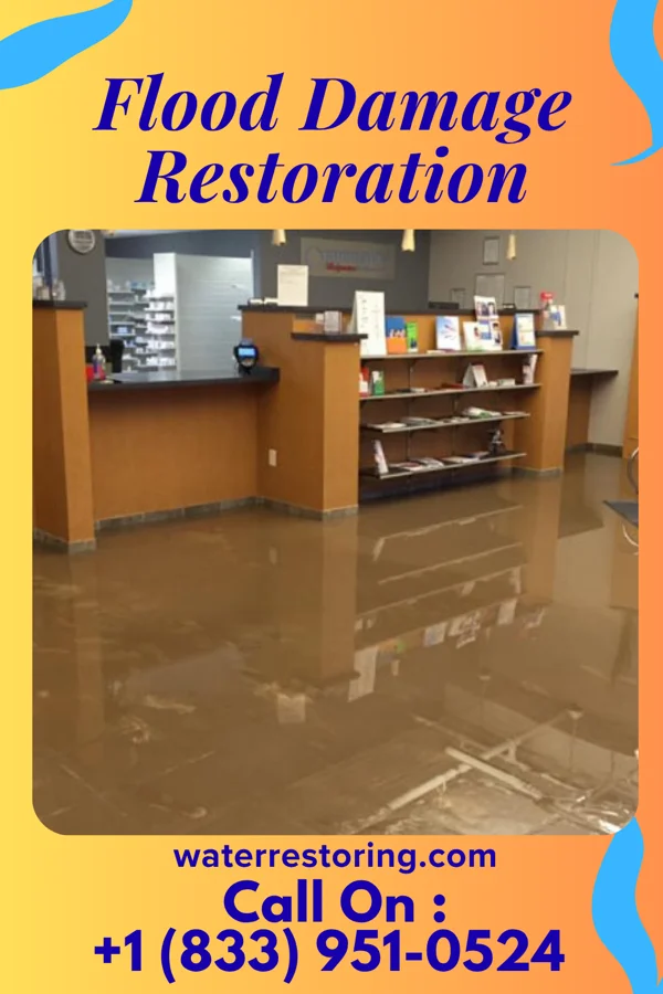 Flood Damage Restoration in Harper Woods, MI