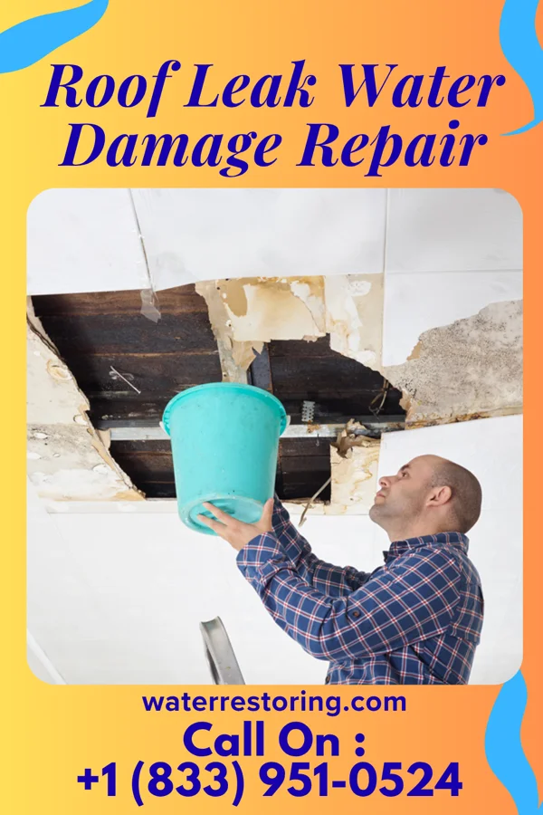 Roof Leak Water Damage Repair in Harper Woods, MI