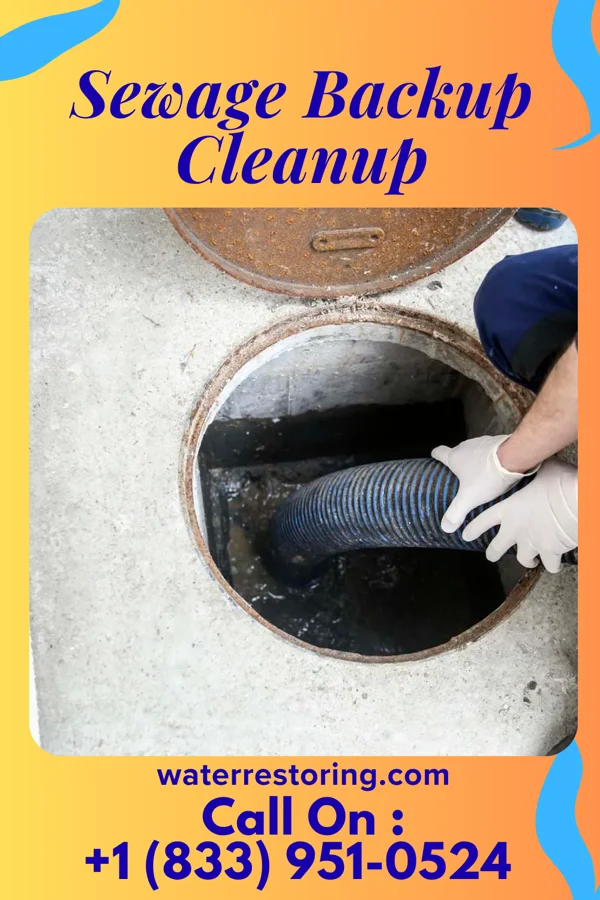 Sewage Backup Cleanup in Harper Woods, MI