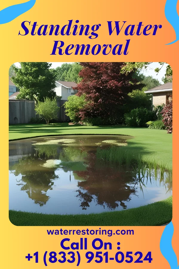 Standing Water Removal in Harper Woods, MI